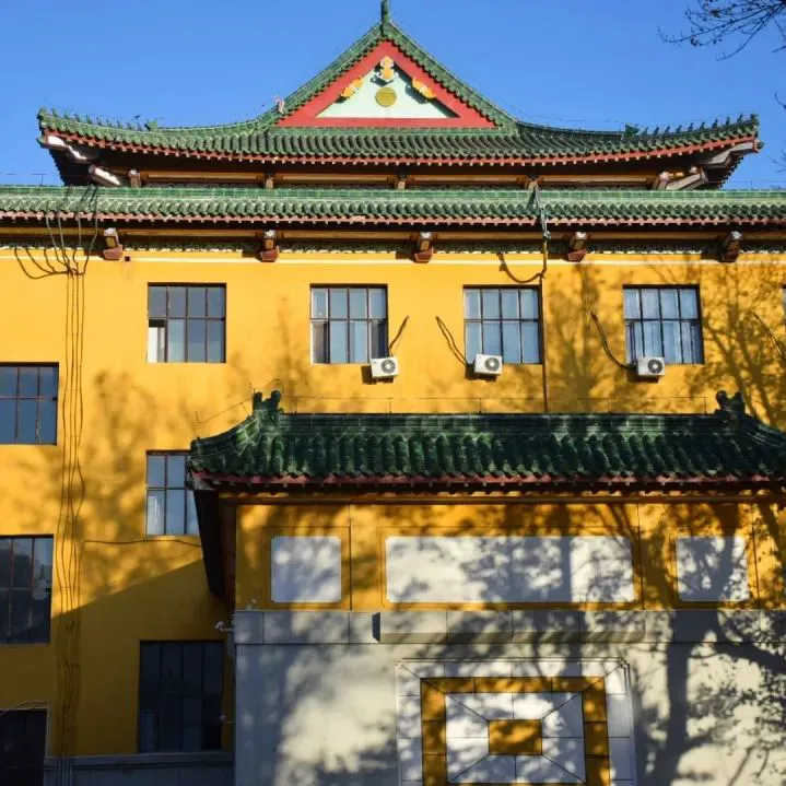 如何在短时间内显著提高篮球技能_0